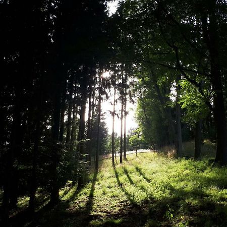 Olivin Kytlice Hiker Huts Hotell Eksteriør bilde